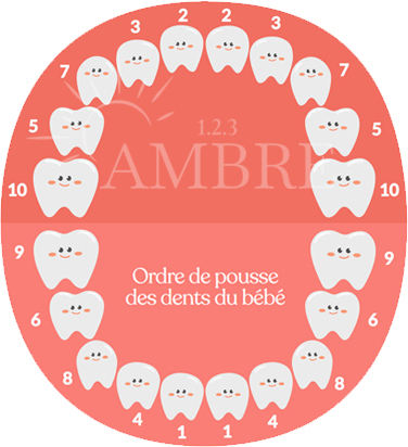 Poussées dentaires des nourrissons : définition, symptômes