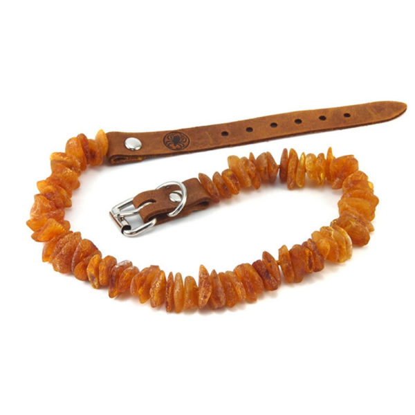 Collier d’Ambre Éclats Cognac pour Chien et Chat