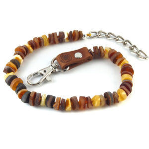 Collier d'Ambre Brut Multicolores Mousqueton pour Chien et Chat