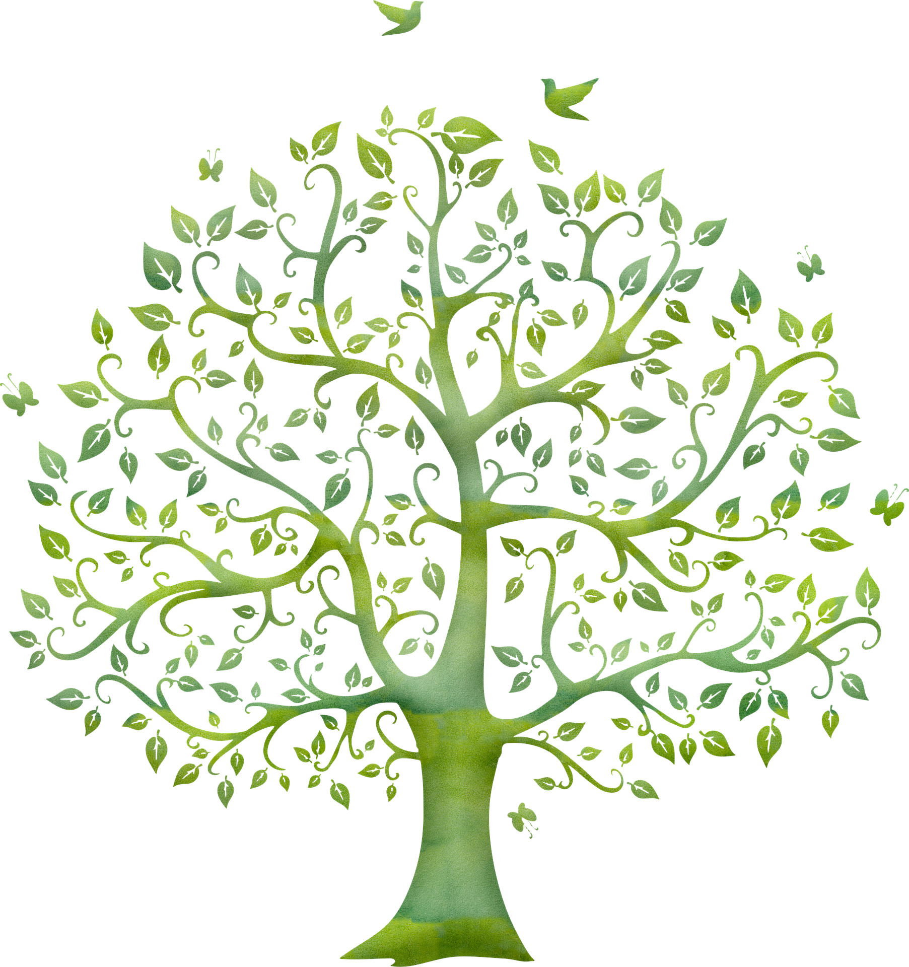 Tout savoir sur l’arbre de vie Symboles, motifs et bijoux 123ambre