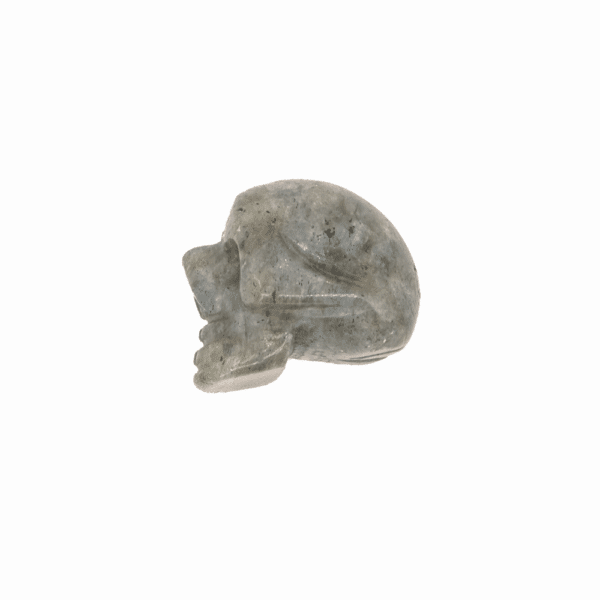 Crâne Labradorite
