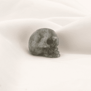 Crâne Labradorite