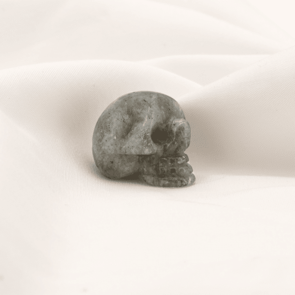 Crâne Labradorite