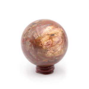 Sphère Bois Fossilisé