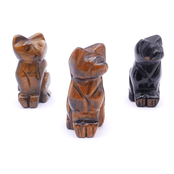 Chats en oeil de Tigre