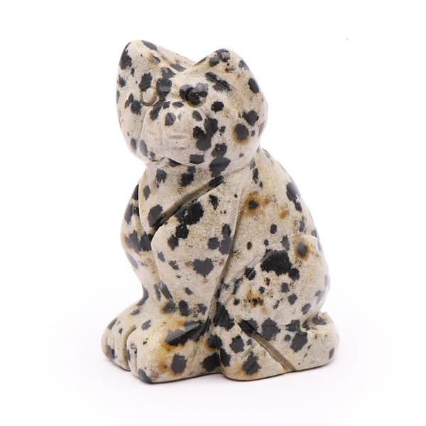 Chat en Jaspe Dalmatien