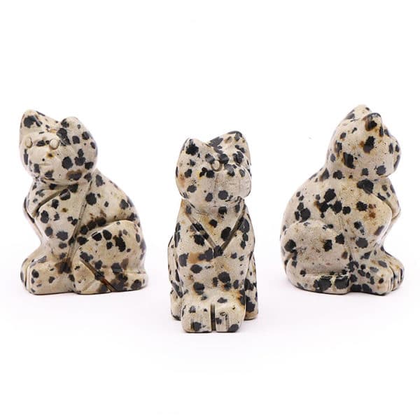 Chat en Jaspe Dalmatien Lots