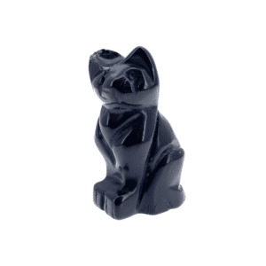 Chat Obsidienne Cabossé