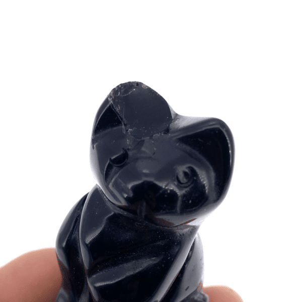 Chat Obsidienne Cabossé Défaut