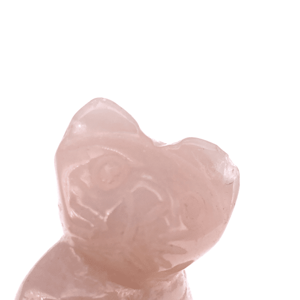 Chat Quartz Rose 1