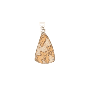 Pendentif Jaspe Pante fossilisée