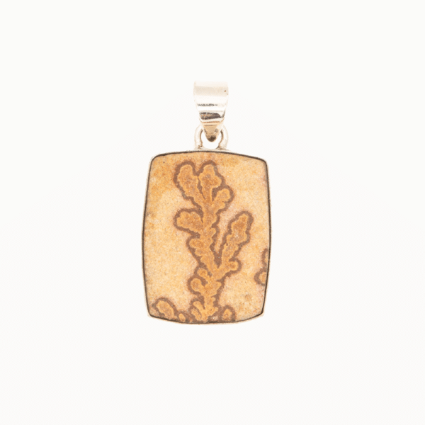 Pendentif jaspe plante