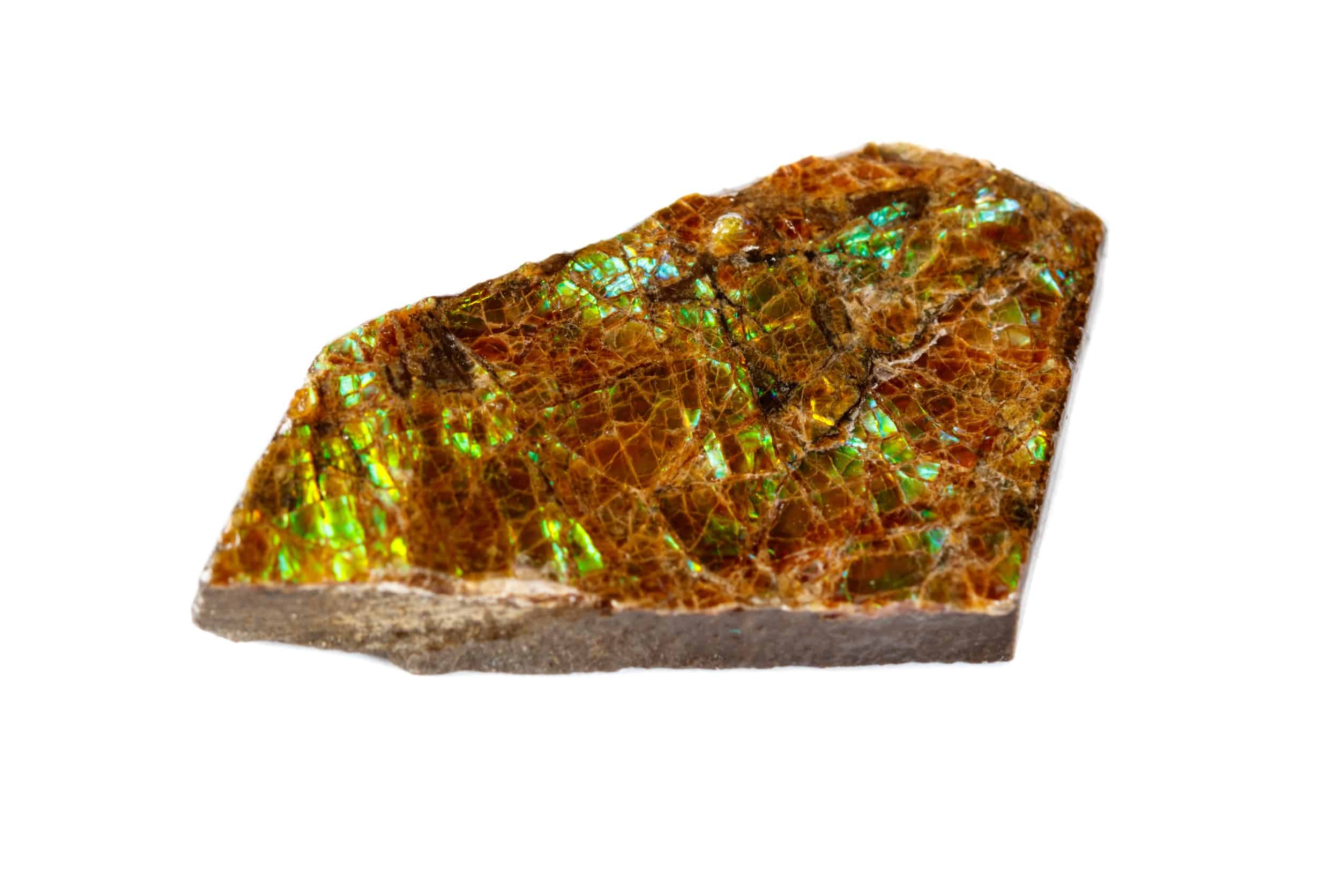 ammolite pierre brute